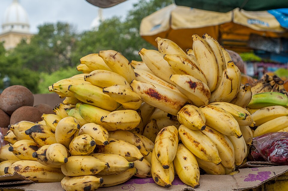 Plátano